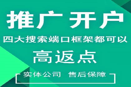 某电商平台信息流竞价策略及成效分析